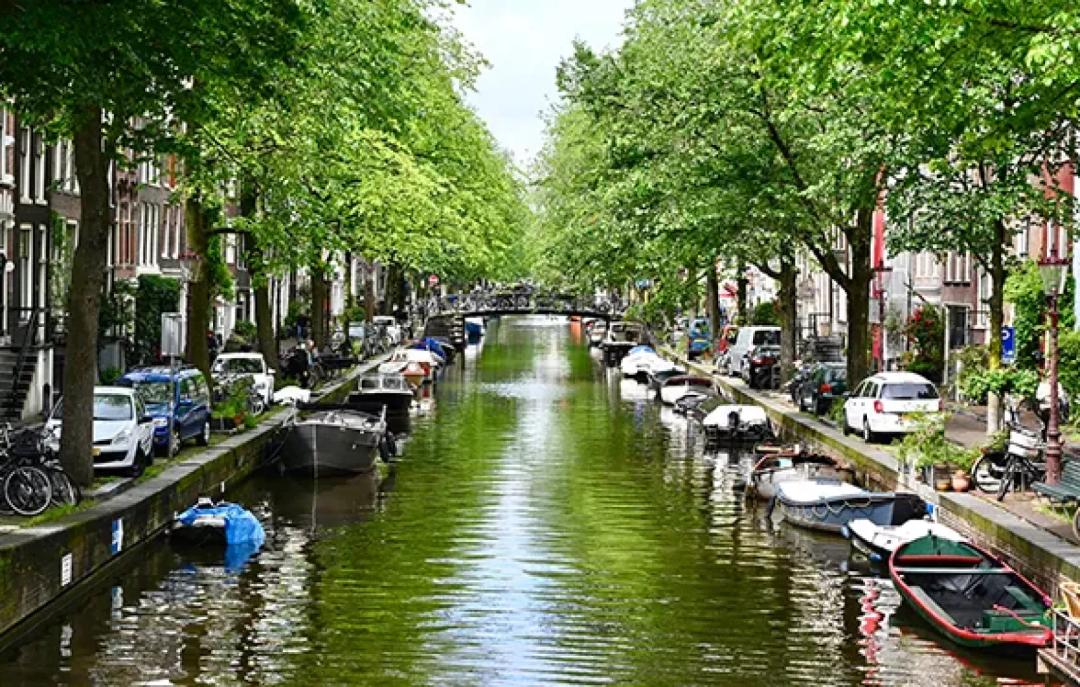 WHY JORDAAN AREA?
