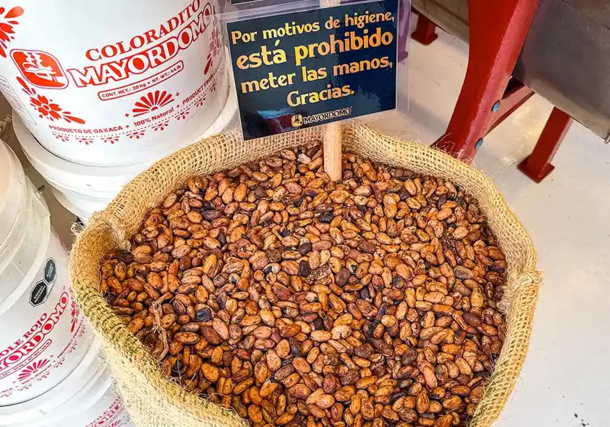 secret-food-tours-oaxaca-image-4