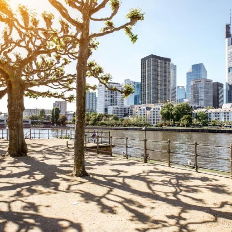 Photos of Secret Tours Frankfurt