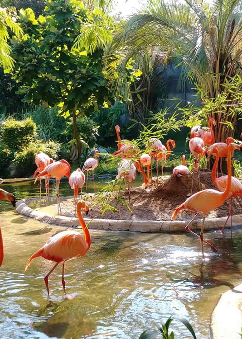 Columbia Food Tour - Secret Food Tours