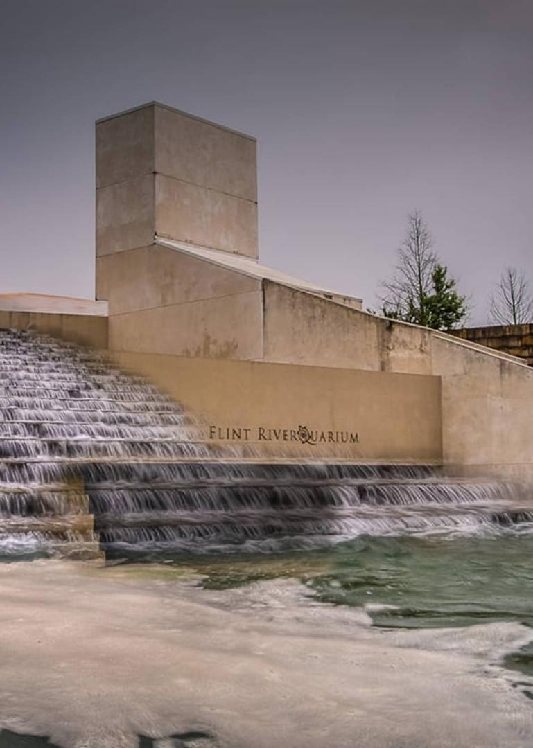 Albany Food Tour - Secret Food Tours