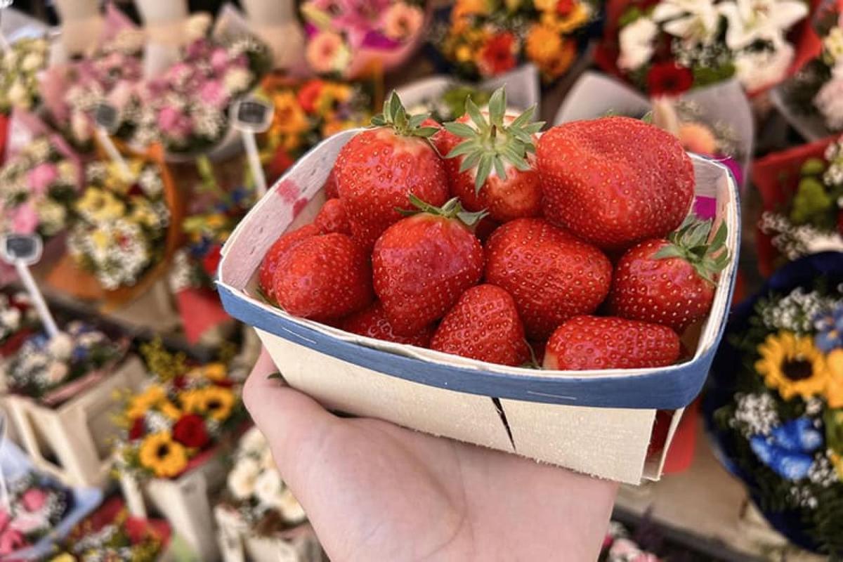 nice-food-tour-05