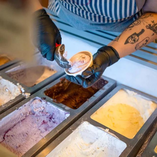 Photos of Secret Tours Tampa